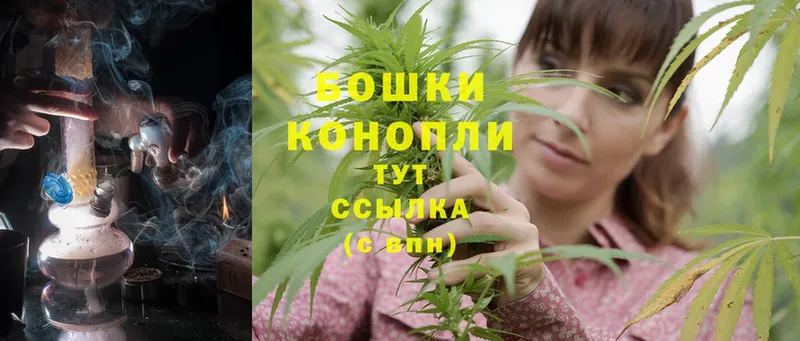 Конопля SATIVA & INDICA  Касли 